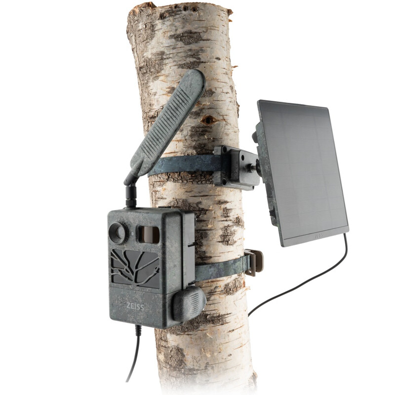Ein komplettes Outdoor-Kamera-Setup bestehend aus einer ZEISS Secacam Wildkamera und einem angeschlossenen ZEISS Secacam Solar Panel Pro, montiert an einem schlanken, hellen Birkenstamm vor einem rein weißen Hintergrund. Auf der linken Seite des Stammes i