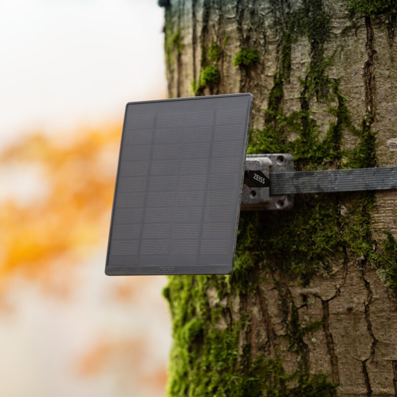 Das quadratische, dunkelgraue ZEISS Secacam Solar Panel Pro für Wildkameras, im Außeneinsatz an einem dicken, moosbewachsenen Baumstamm montiert. Das Solarmodul ist schräg zur Kamera ausgerichtet und zeigt seine strukturierte, linierte Oberfläche. Es ist