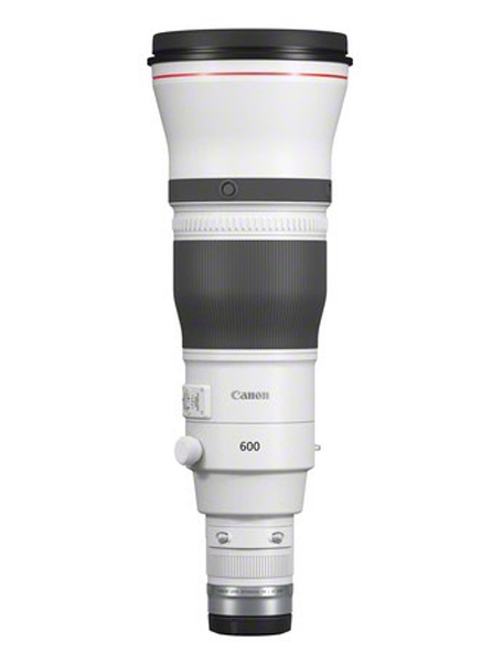 Weißes Canon RF 600-mm-Teleobjektiv mit rotem Ring, breitem schwarzem Fokussierring und Canon-Schriftzug vor weißem Hintergrund.