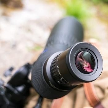 Eine Nahaufnahme zeigt den Schrägeinblick eines auf einem Stativ montierten, gummierten ZEISS Victory Harpia Spektivs im Außenbereich. Im Fokus steht das aufgeschraubte Victory Harpia 22-65x / 23-70x Variookular mit seinen gut erkennbaren Ringen für die V