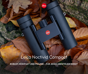 LEICA NOCTIVID COMPACT 10x25 (schwarz, gummiert) Demo-Modell, neuwertig