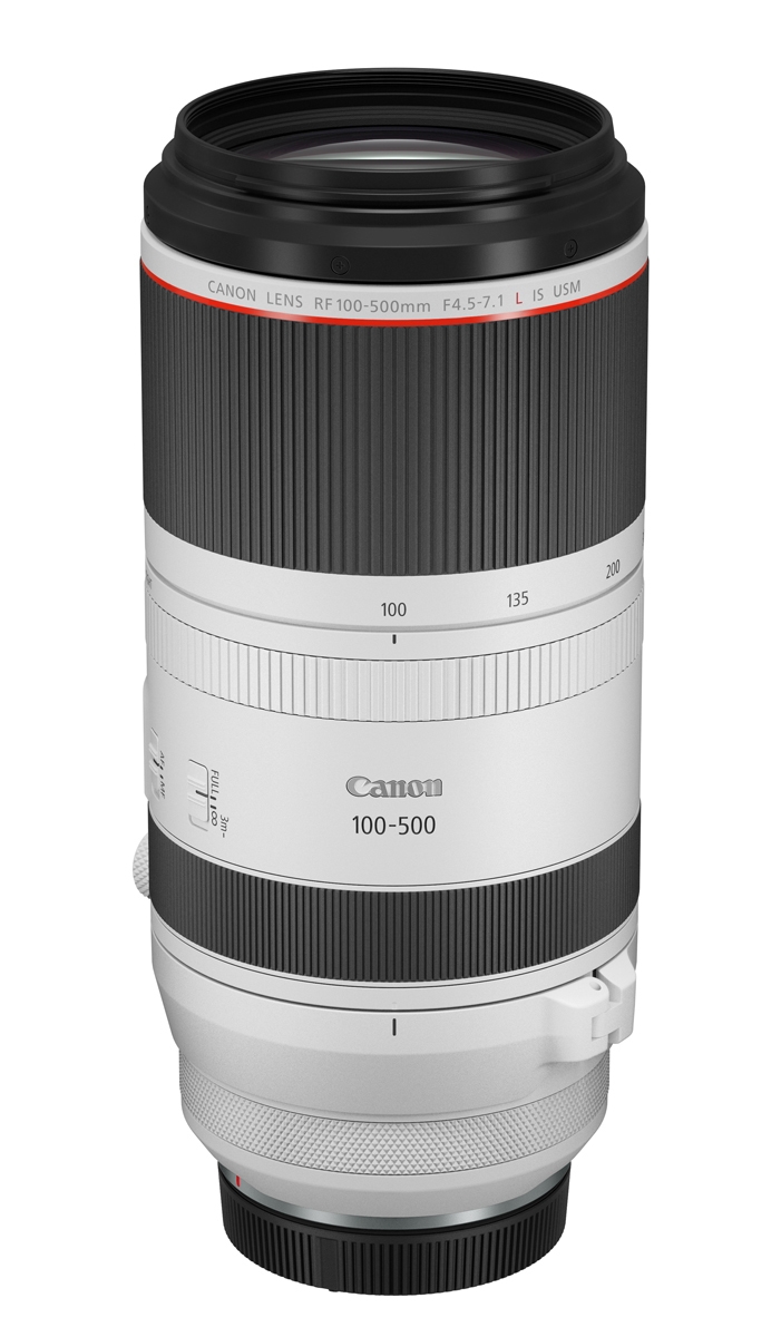 Canon RF 100-500mm L IS USM Telezoom-Objektiv in Weiß – schräge Frontansicht