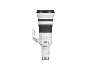 Canon Superteleobjektiv in Weiß mit Stativschelle