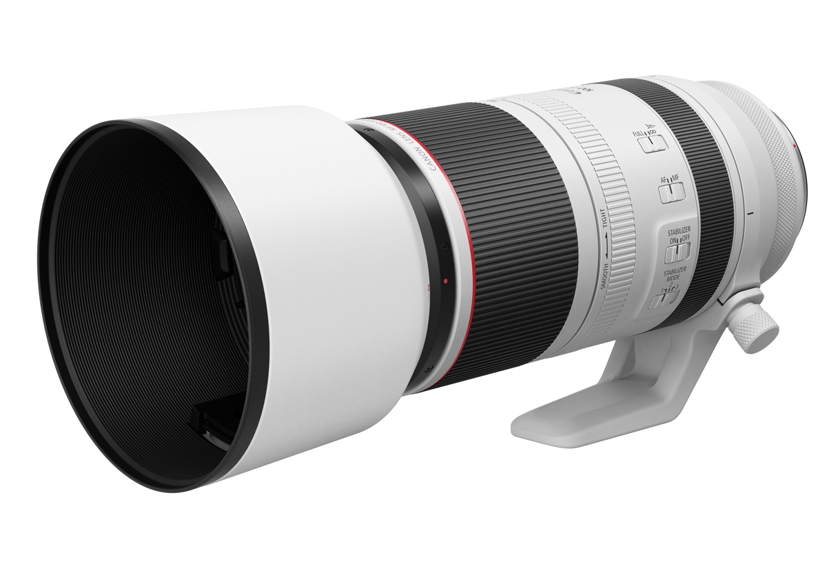 Canon RF 100-500mm L IS USM Telezoom-Objektiv mit Gegenlichtblende und Stativschelle
