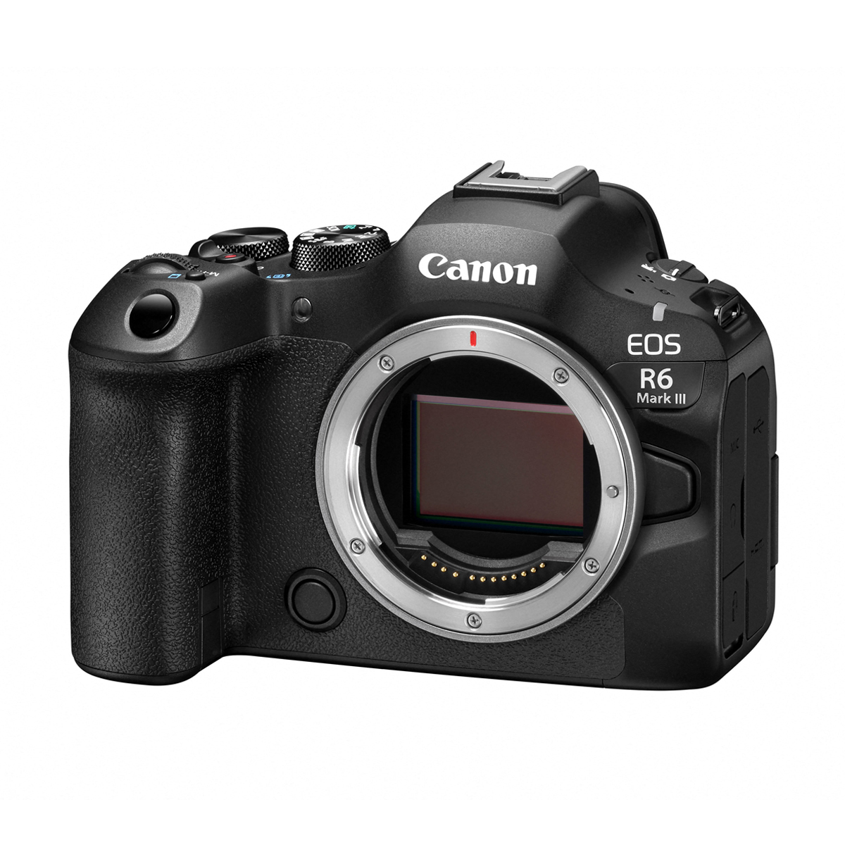 Schwarze Canon EOS R6 Mark III Systemkamera ohne Objektiv, schräg von vorne mit sichtbarem Bildsensor und RF-Bajonett auf weißem Hintergrund.