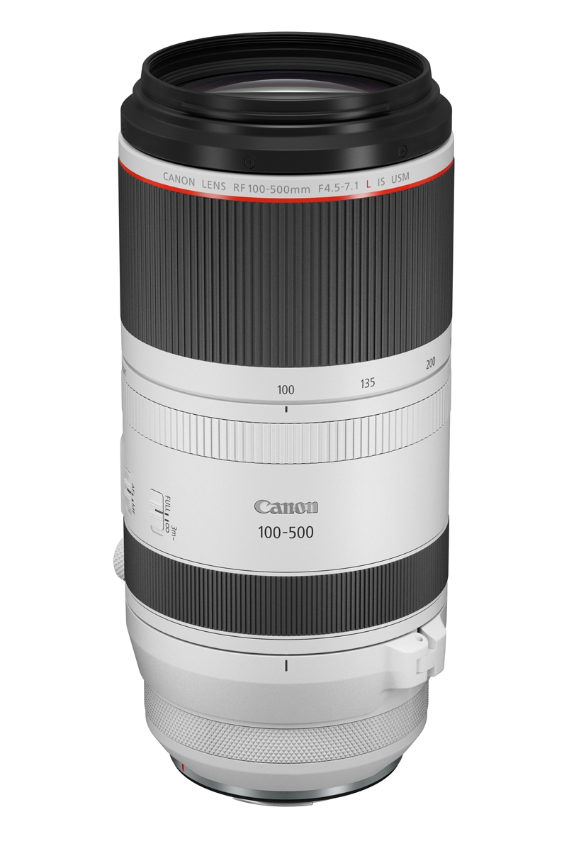 Canon RF 100-500mm L IS USM Telezoom-Objektiv in Weiß – Frontansicht