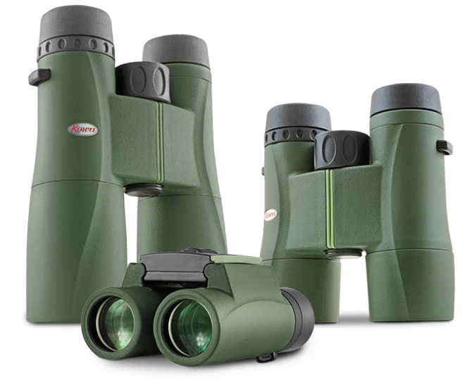 Kowa 8x32 SV II