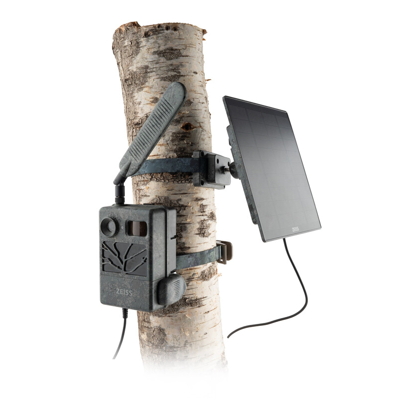 Ein komplettes Outdoor-Kamera-Setup bestehend aus einer ZEISS Secacam Wildkamera und einem angeschlossenen ZEISS Secacam Solar Panel Pro, montiert an einem schlanken, hellen Birkenstamm vor einem rein weißen Hintergrund. Auf der linken Seite des Stammes i