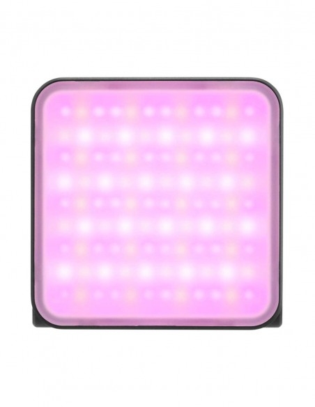 Die direkte Frontansicht einer eingeschalteten Zhiyun Fiveray M20C RGB LED-Videoleuchte vor einem rein weißen Hintergrund. Das quadratische LED-Panel mit abgerundeten Ecken leuchtet intensiv in einem hellen Pink- beziehungsweise Violettton. Durch die inte